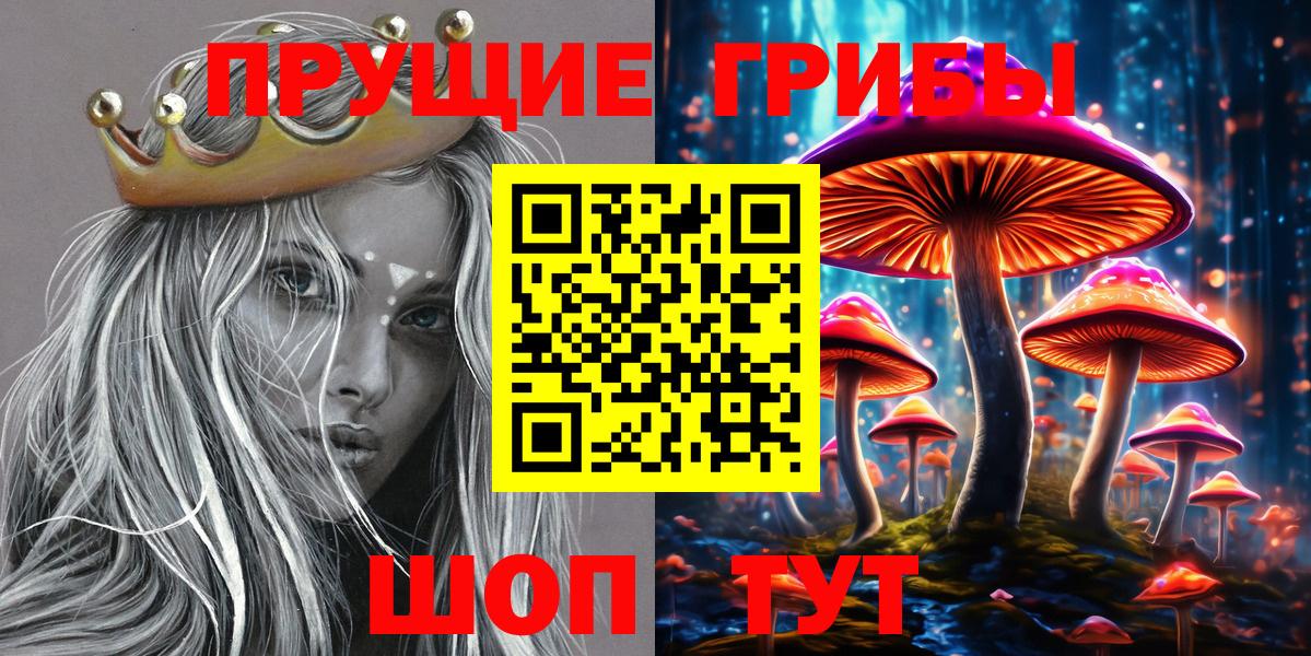 Галлюциногенные грибы Psilocybe Саратов