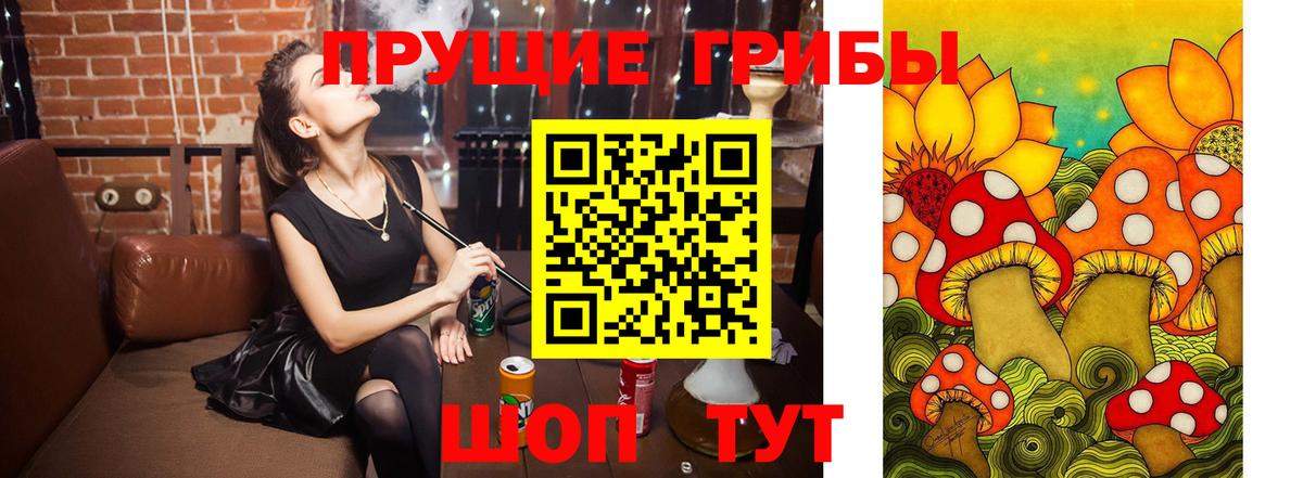 Псилоцибиновые грибы GOLDEN TEACHER  закладка  Саратов  Вход с VPN 
